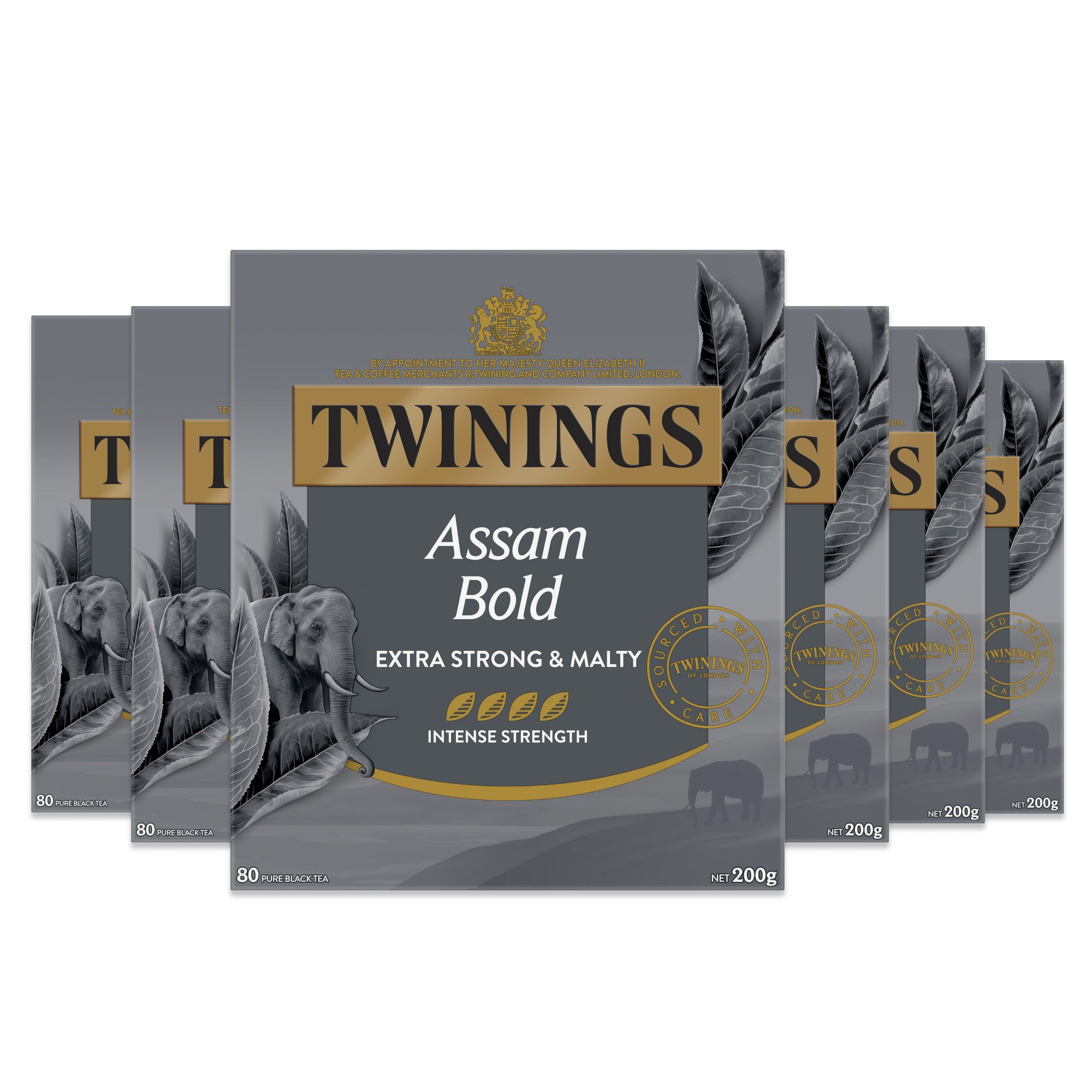 Assam Bold 6 Pack Bundle