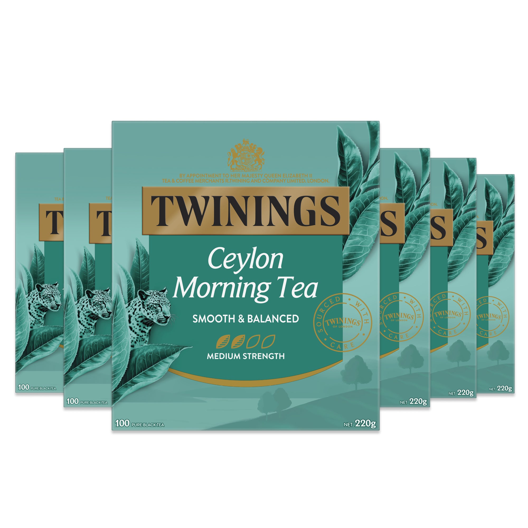 Ceylon Morning Tea 6 Pack Bundle