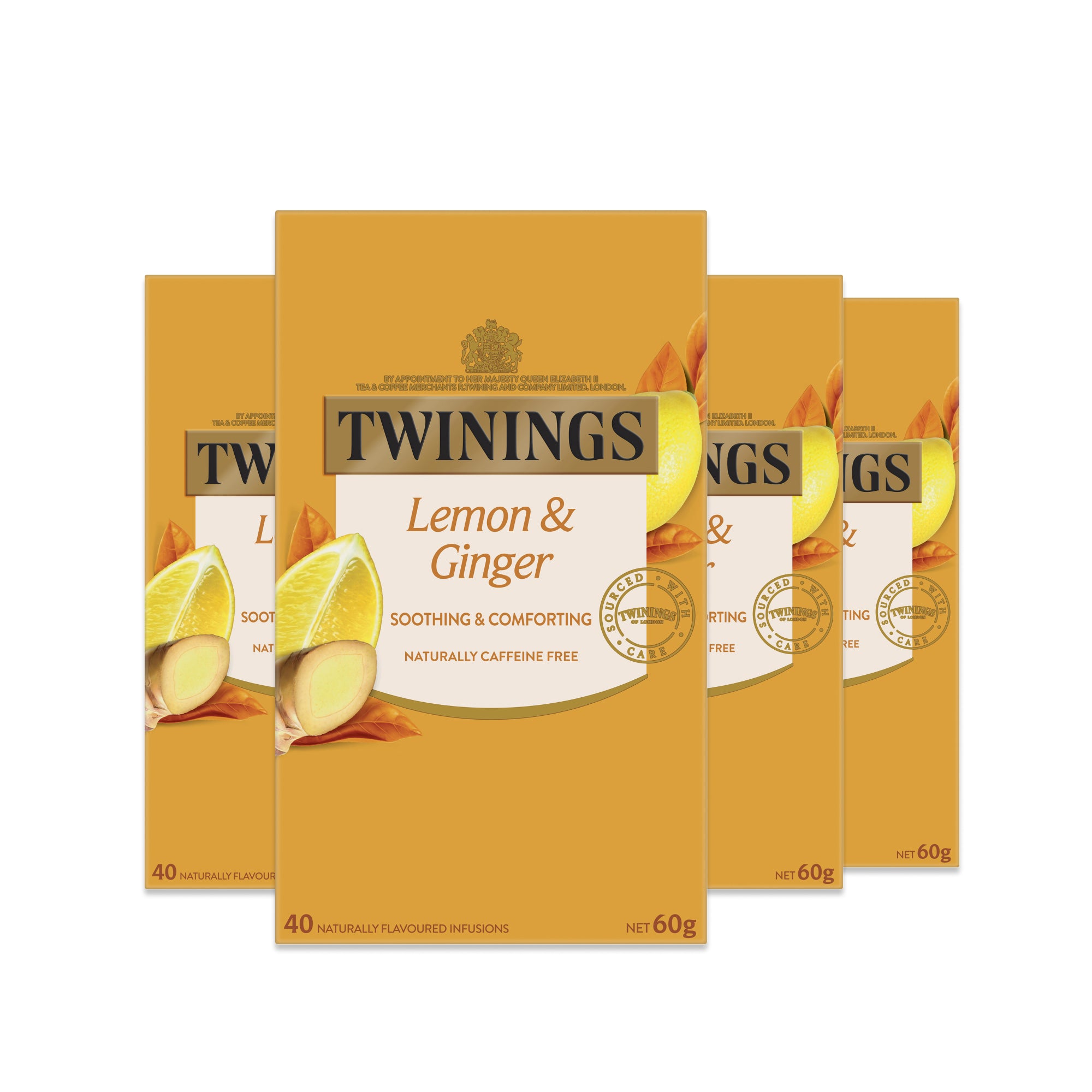 Lemon & Ginger 4 Pack Bundle
