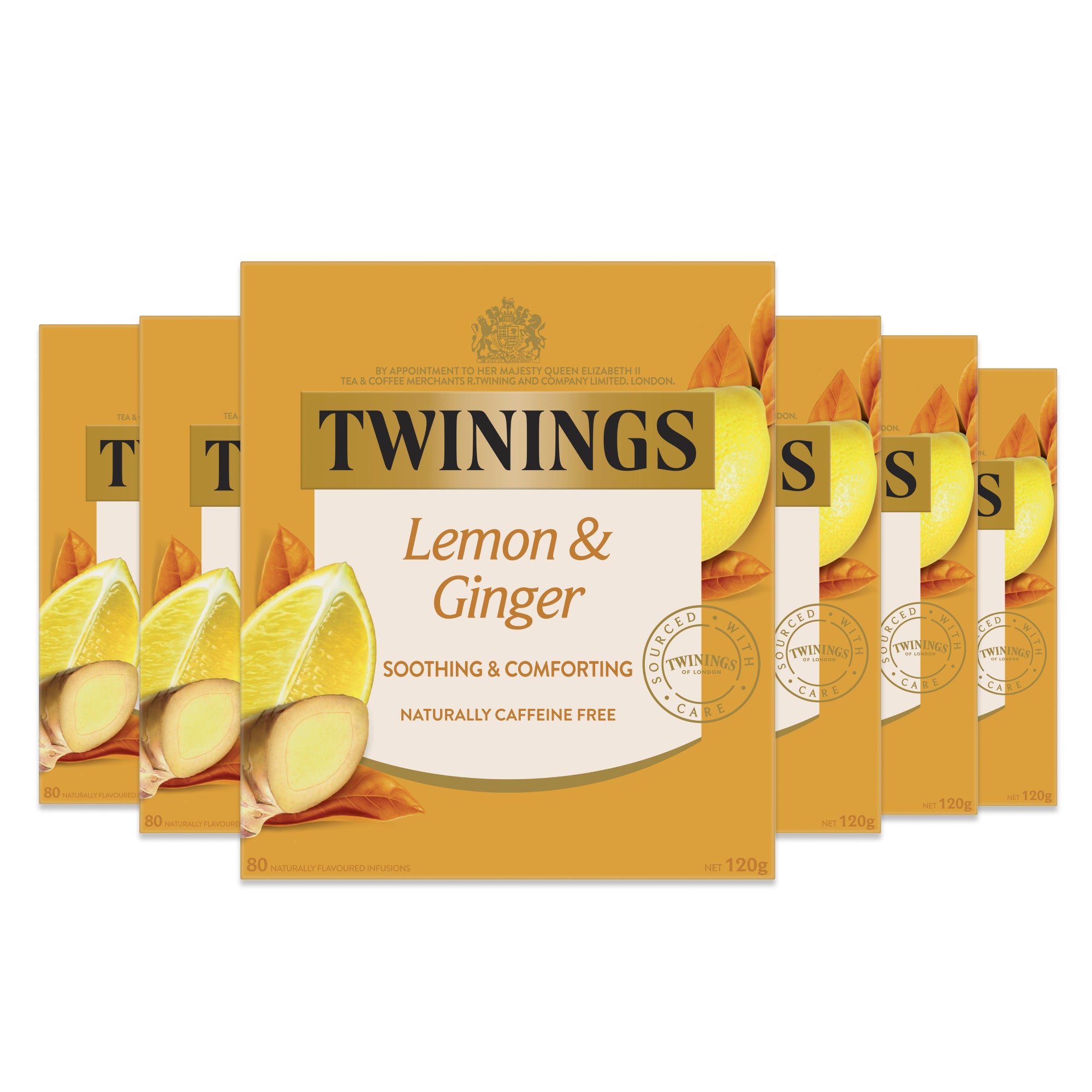 Lemon & Ginger 6 Pack Bundle