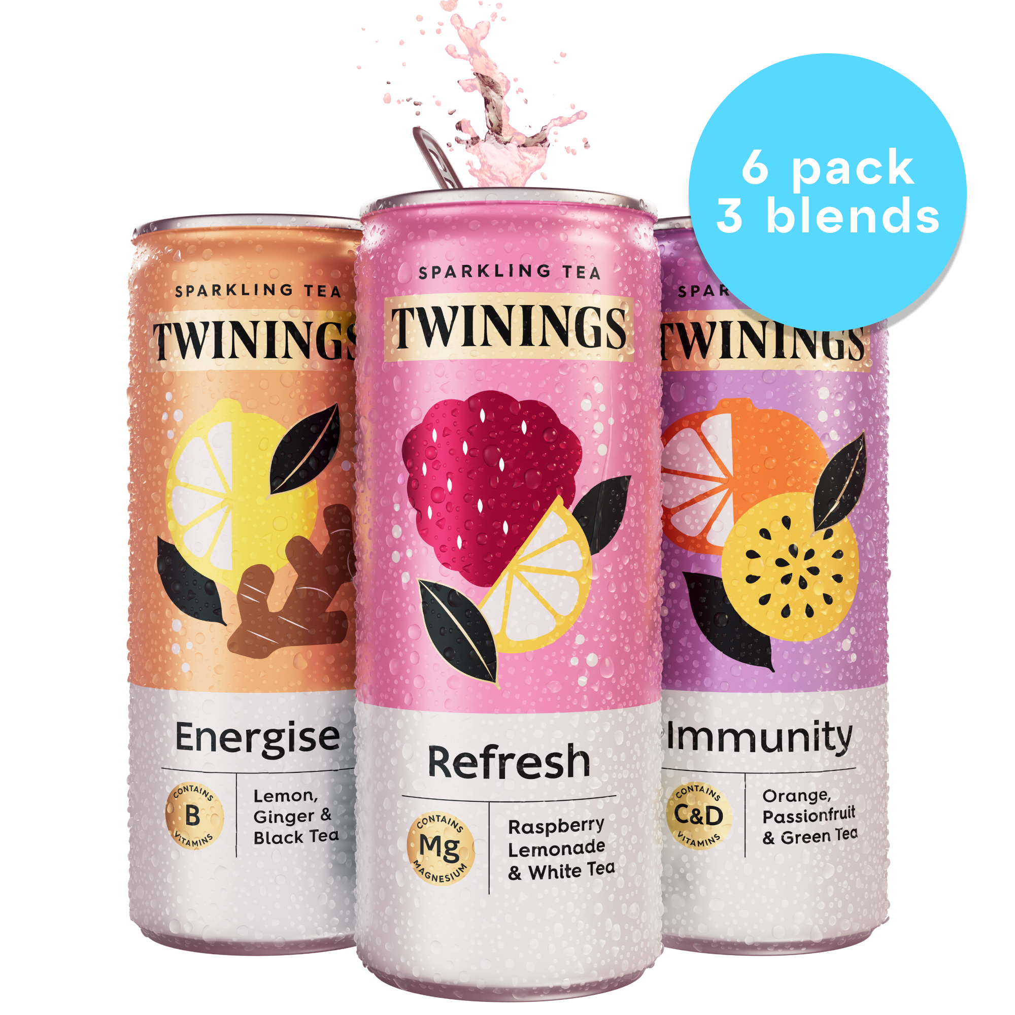 Sparkling Tea variety 6 pack